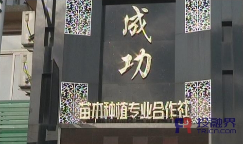 投融界专访丹东宽甸鑫成竹柳木纤维开发项目孙俊成