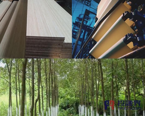 投融界专访丹东宽甸鑫成竹柳木纤维开发项目孙俊成