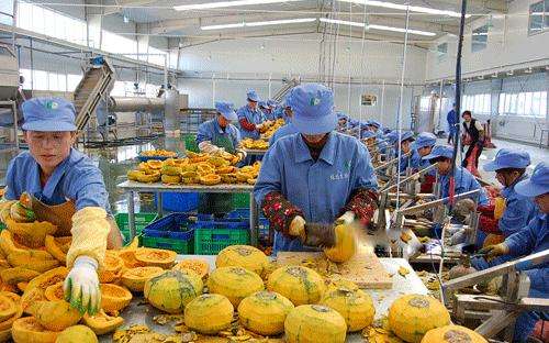 农村创业项目;适合农村创业的项目值得你拥有,给反乡创业者推荐