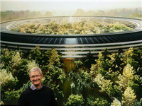苹果烧了50亿美元造的新总部，员工竟嫌弃太开放了！